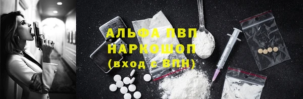 шишки Алексин