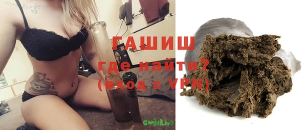 индика Алзамай