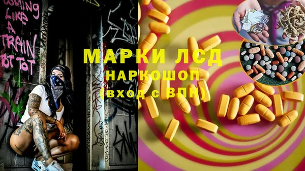шишки Алексин