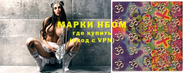 индика Алзамай