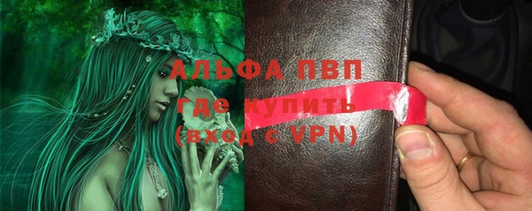 индика Алзамай