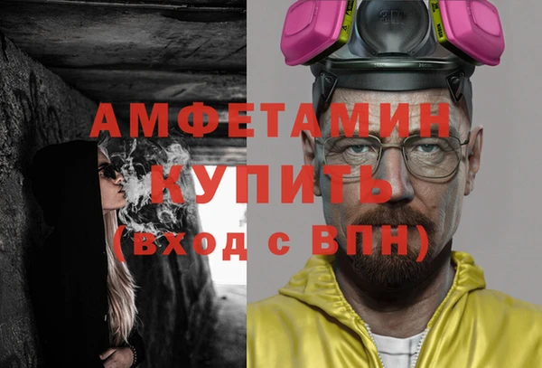 индика Алзамай
