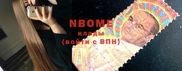 индика Алзамай