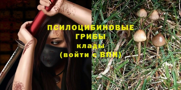 индика Алзамай